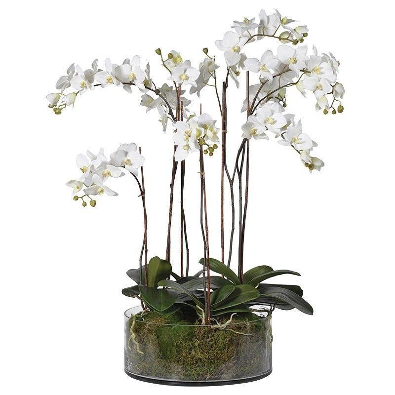 Artificial Orchids In Glass Pot