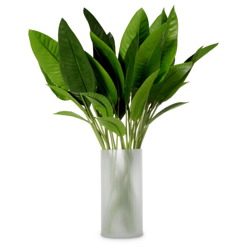 Bundle of Strelitzia Leaves - 36 pcs - Green