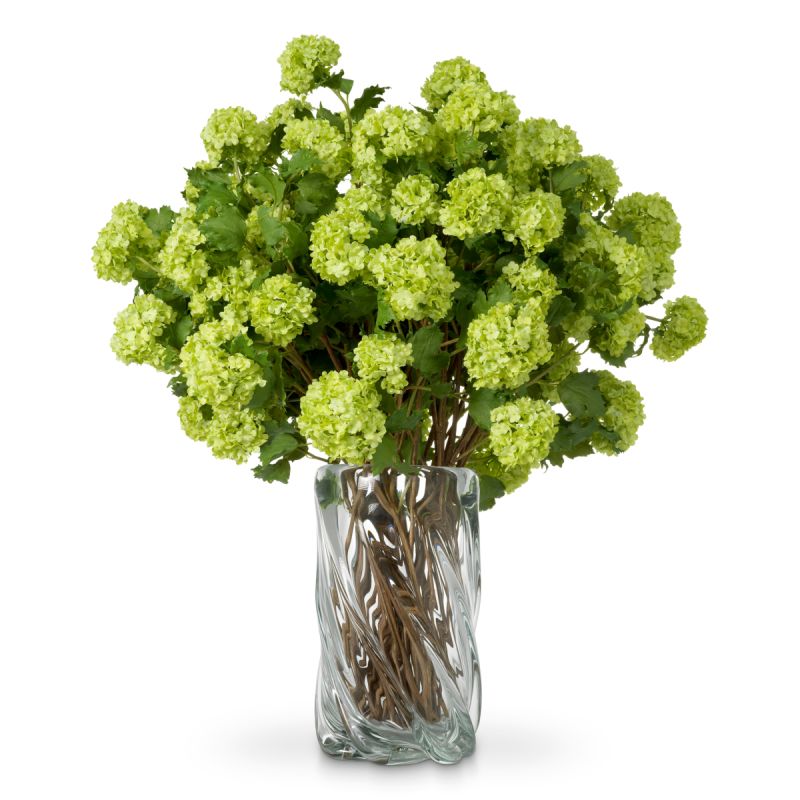 Bouquet of Hydrangeas - Green
