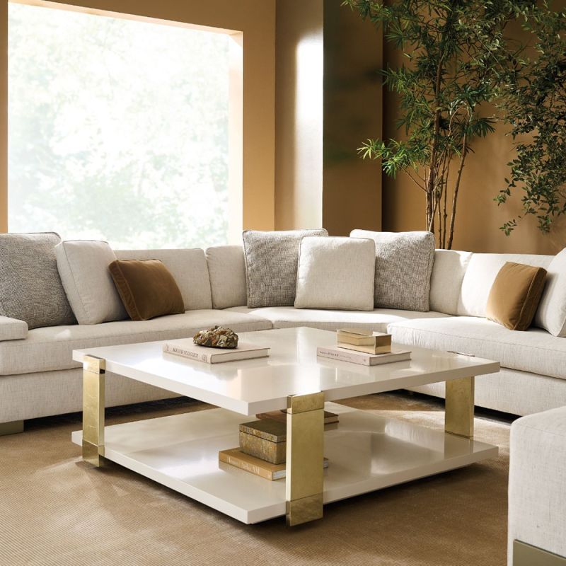 Discover the elegant Parius Coffee Table by Caracole, featuring a chic design and stylish finishes, perfect for enhancing your living space.