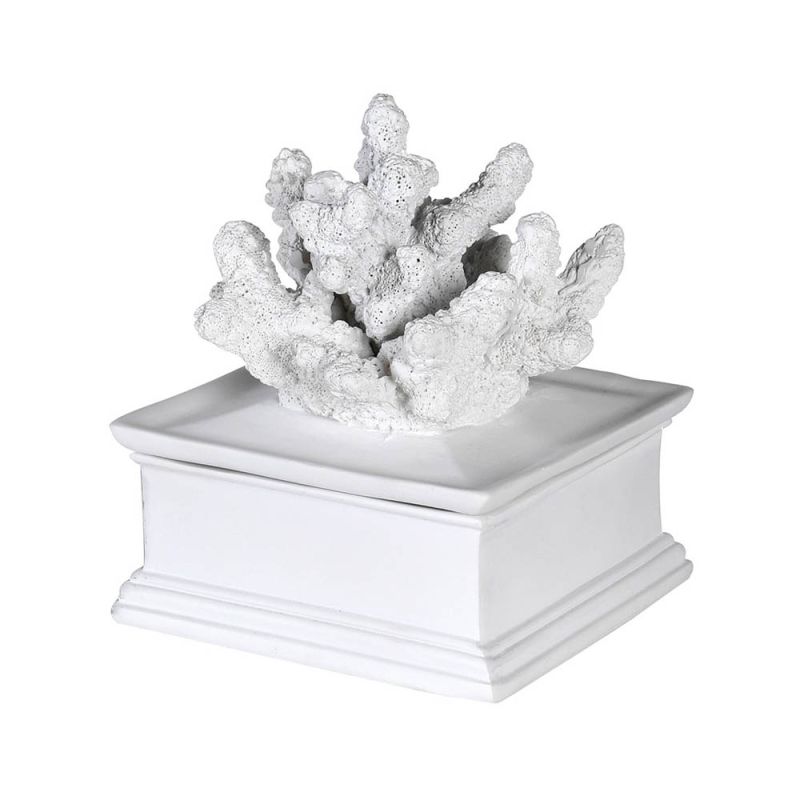 small decorative box with a coral sculpture on the lid