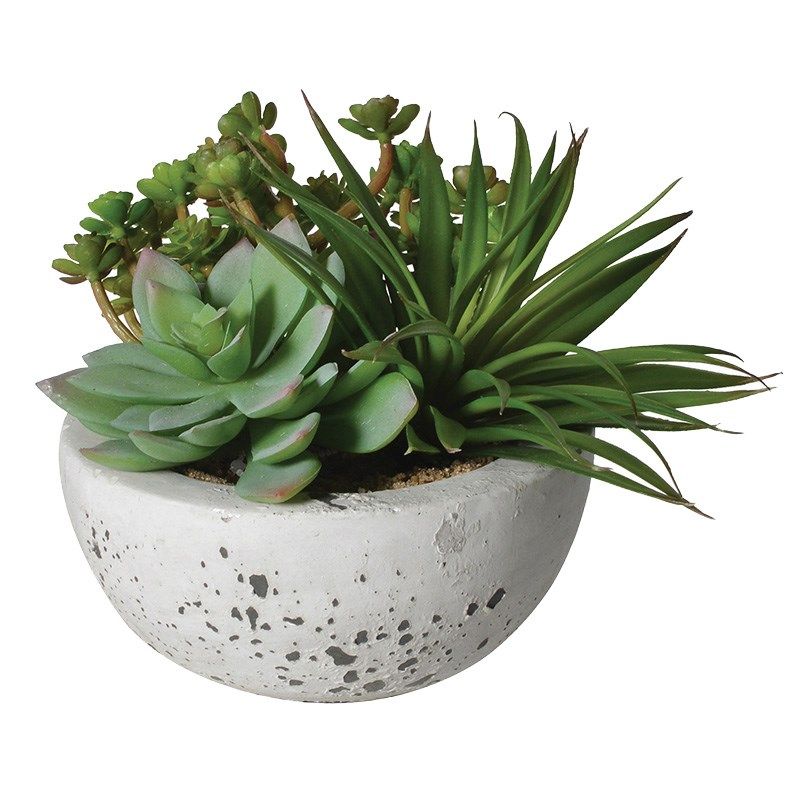 Artificial Plant In Stone Bowl