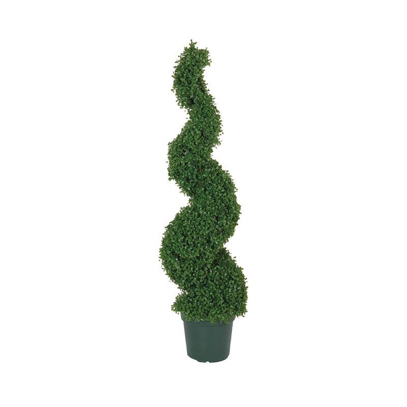 Outdoor Spiral Topiary