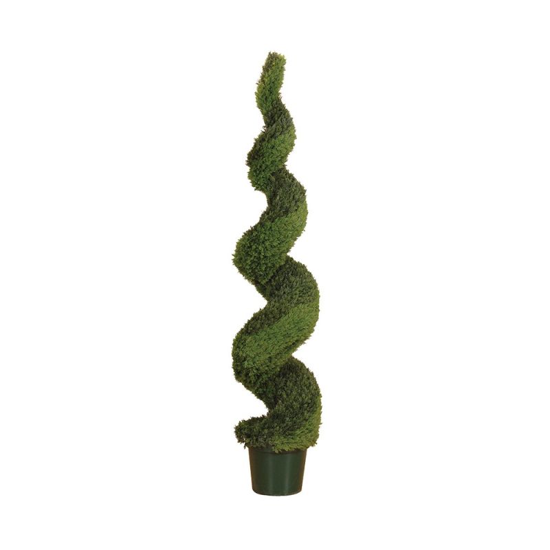 Conifer spiral topiary in a green plastic pot