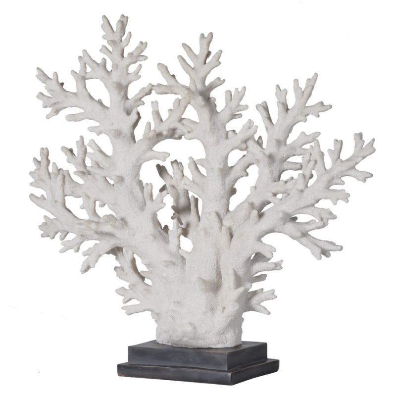 White Coral Display