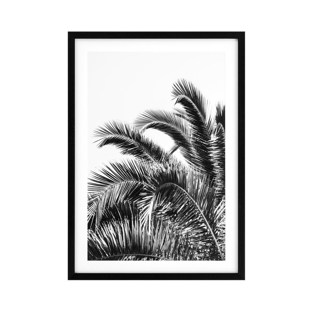 Set of 2 monochromatic print of large sized palm leaf prints