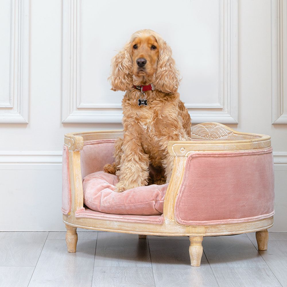 Bailey's Pink Velvet Dog Bed