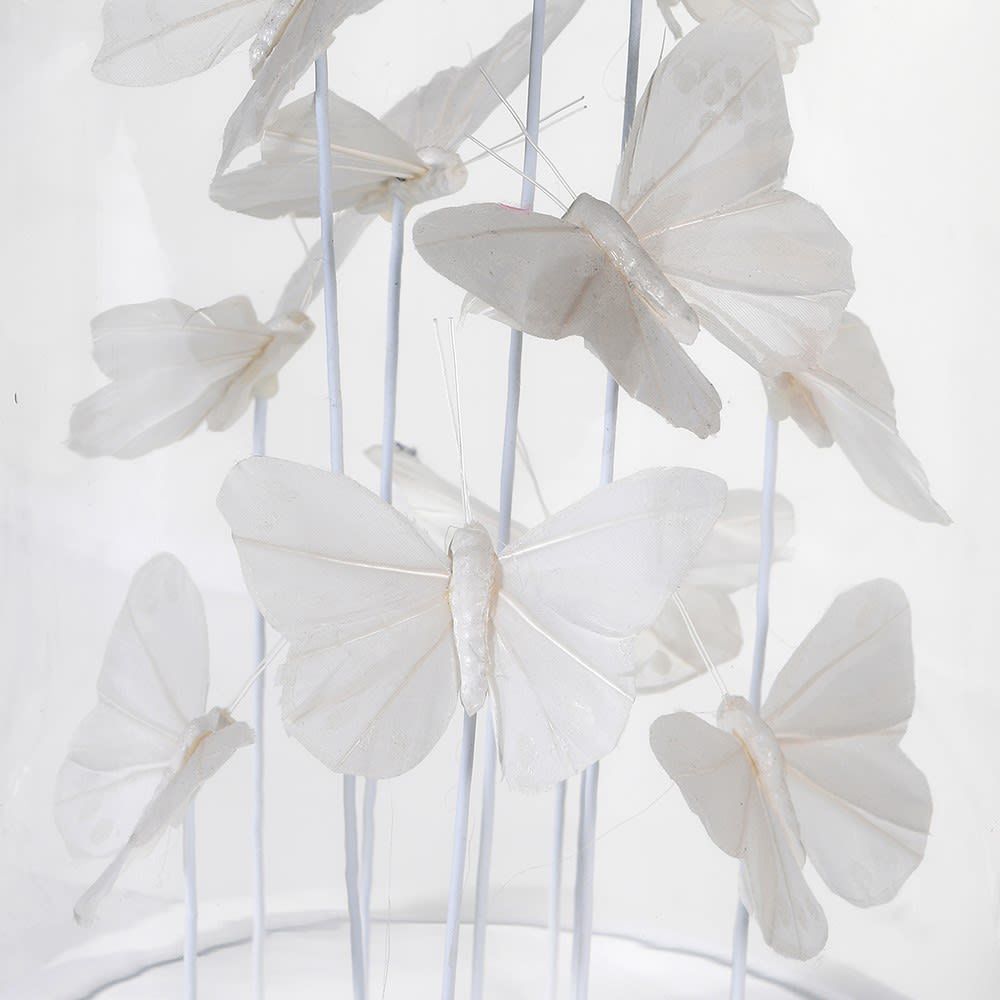 A cluster of fabulous white butterflies enclosed in a clear glass dome