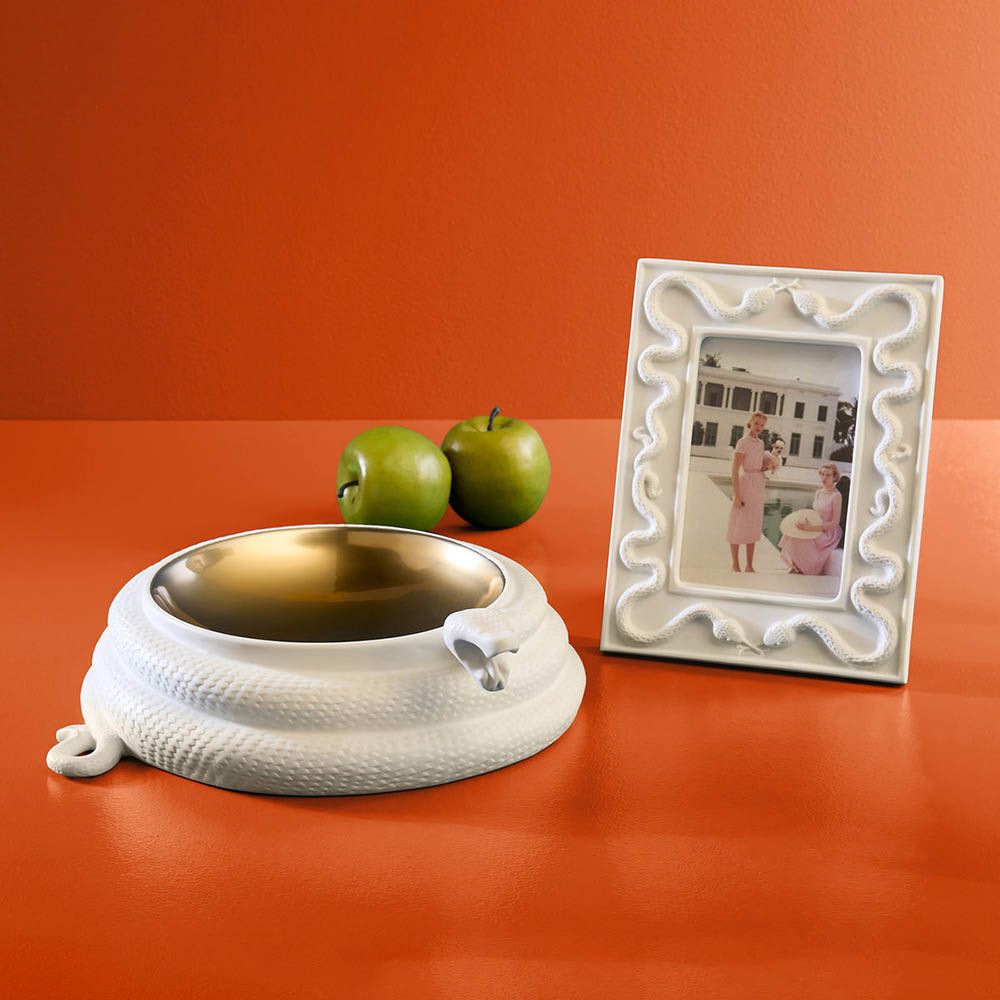 Striking snakes design picture frame in white porcelain