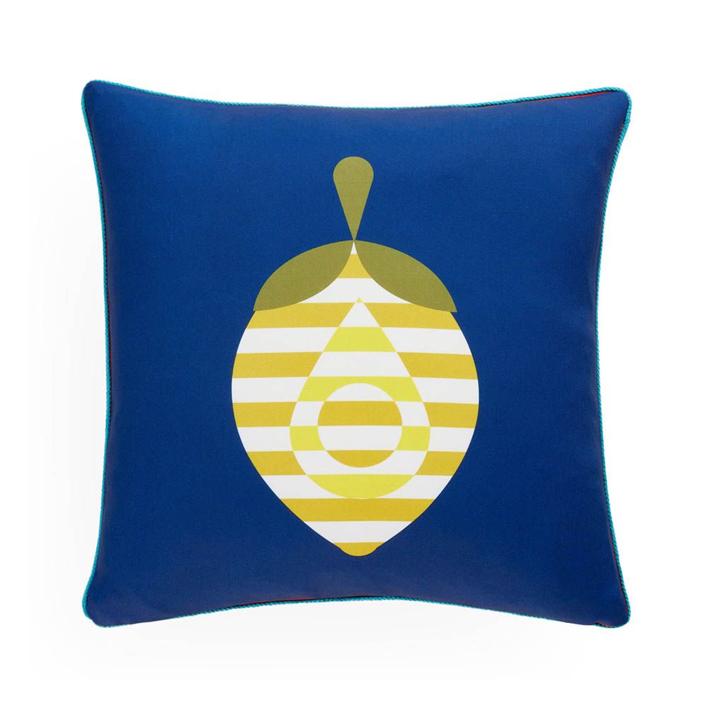 Reversible fruit print cushions, with blue and red sides