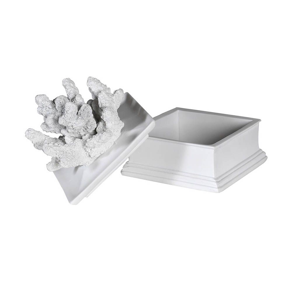 small decorative box with a coral sculpture on the lid