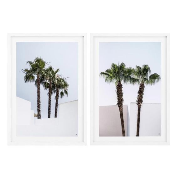 Set of 2 palm trees print with white frame