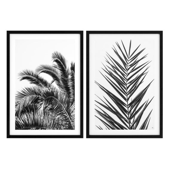 Set of 2 monochromatic print of large sized palm leaf prints