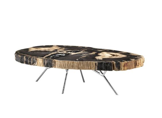 A stunning petrified wood coffee table with a stainless steel base
