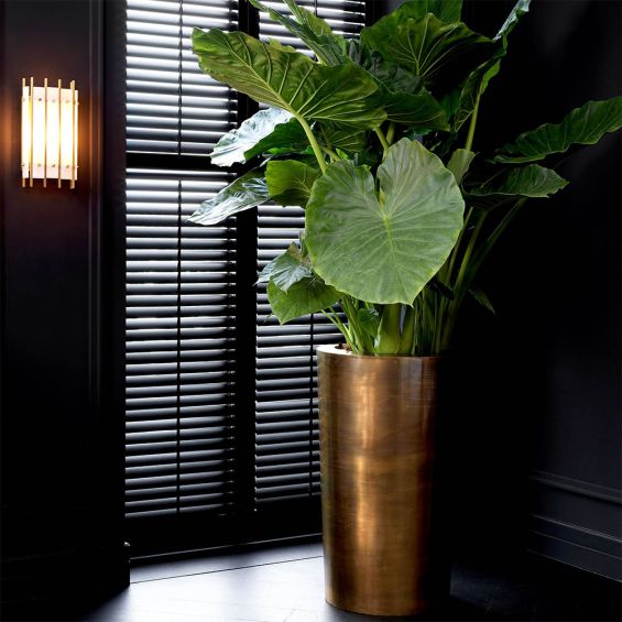 Glamorous, tall,  brass-effect planter