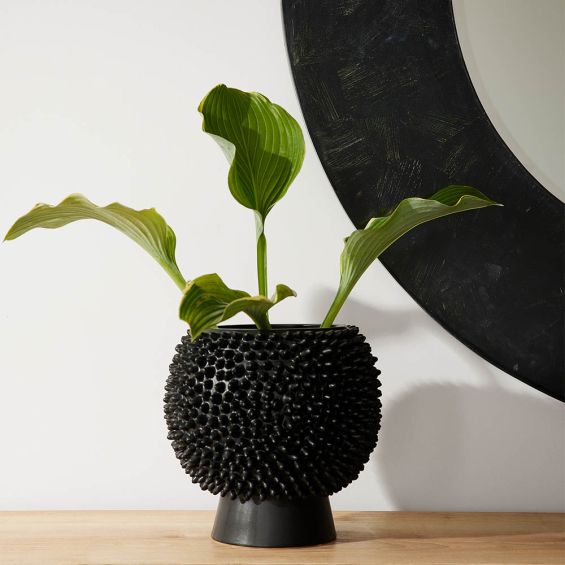 Black ceramic vase with spike detail