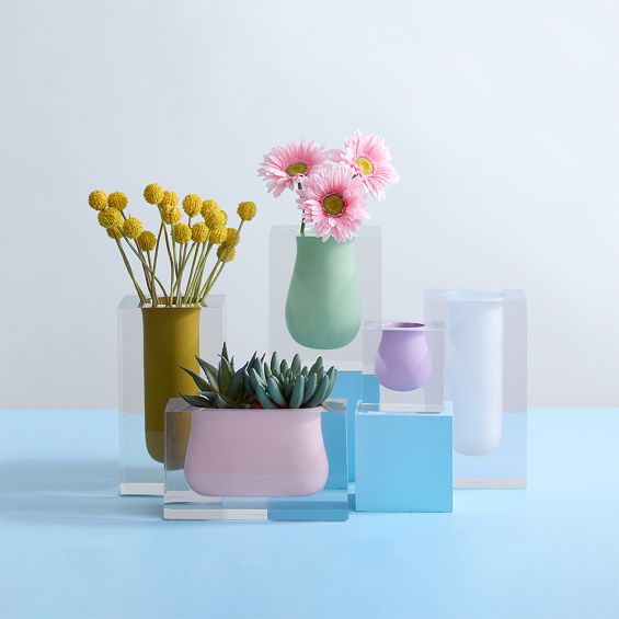 A curvy acrylic vase encased in a clear acrylic cuboid