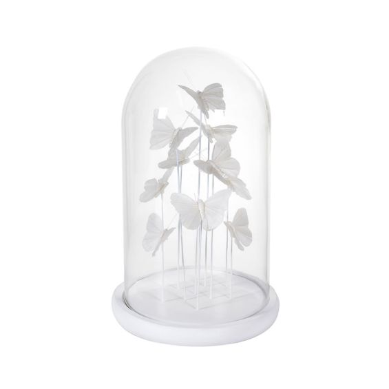 A cluster of fabulous white butterflies enclosed in a clear glass dome