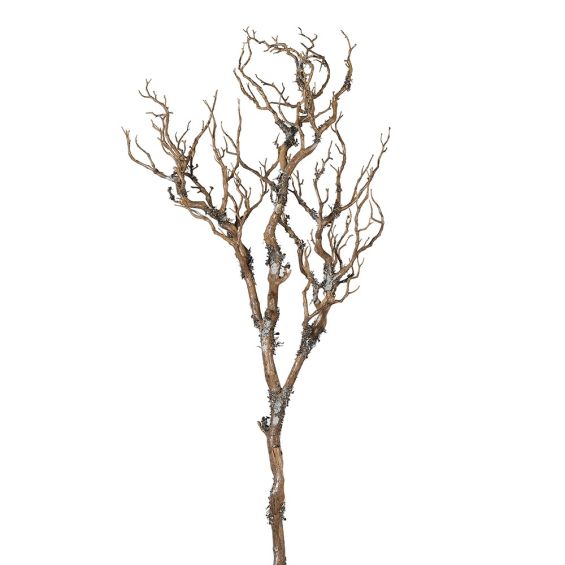 Minimalist branches