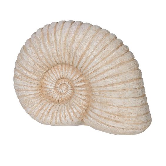 Elegant decorative shell shaped like an ammonite fossil 