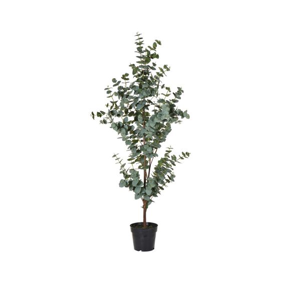 A luxurious artificial green eucalyptus plant in a black pot