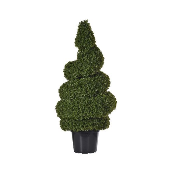 Outdoor Spiral Topiary Tree