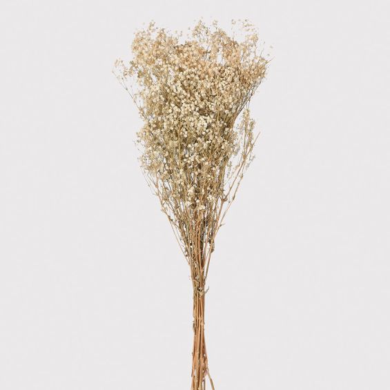 A luxury arrangement of real, white dried gypsophila 