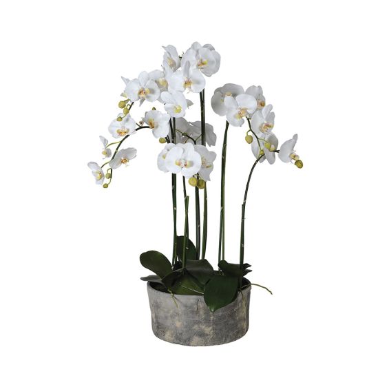 White Orchid Planter