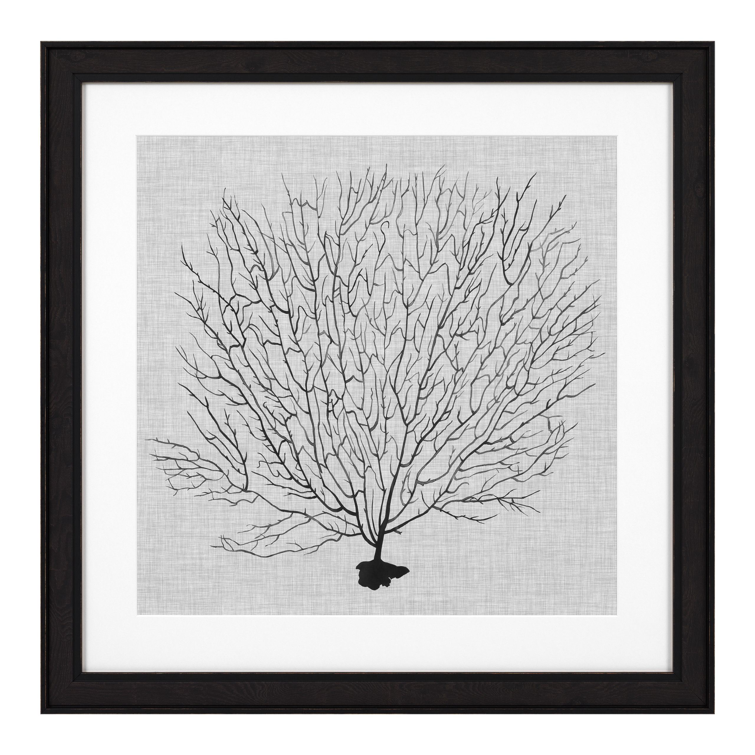 Shadow Sea Coral Prints - Set of 4