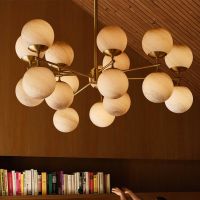Schwung Zodiac Chandelier