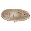 Nature inspired polished stainless steel coffee table with a light wood table top