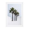 Set of 2 palm trees print with white frame