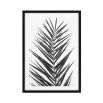 Set of 2 monochromatic print of large sized palm leaf prints