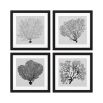 Shadow Sea Coral Prints - Set of 4