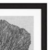 Eichholtz Shadow Sea Coral Prints - Set of 4