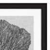 Shadow Sea Coral Prints - Set of 4