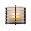 A sophisticated outdoor wall lamp by Eichholtz with a frosted glass shade and antique brass metal cage