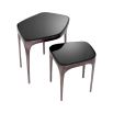 Set of 2 black nickel side tables