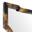 Wall mirror with striking tortoise shell frame