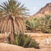 Wooden framed desert print by Eichholtz