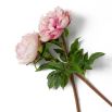 Add a touch of soft elegance to your home with this exquisite Bouquet of Peonies in delicate pink tones - 48 pieces.