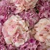 Real Touch Bouquet of Hydrangeas - 48 pcs - Pink