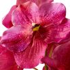 Real Touch Bouquet of Vanda Orchids - 24 pcs - Pink