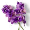 Real Touch Bouquet of Vanda Orchids - 24 pcs - Purple