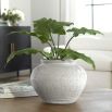 Floreana Vase - S