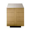 Majestic 2 door cabinet in gold finish with geometric details.