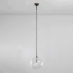 Black gunmetal industrial ceiling pendant light with clear glass globe lampshade