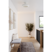 Annie Flush Mount