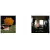 Mark Forbes: Collected memories