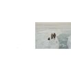 Hyperborea: Stories from the Arctic